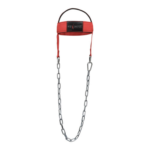Head Harness