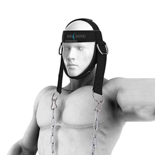 Head Harness