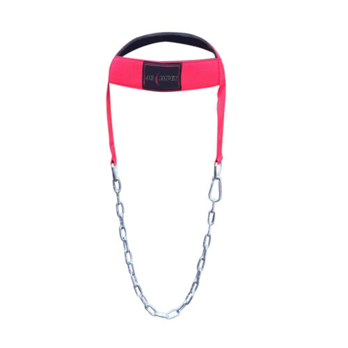 Head Harness