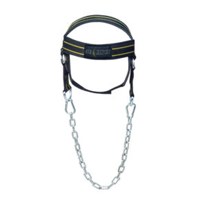 Head Harness