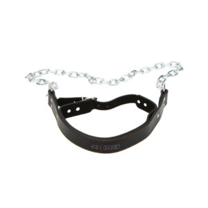 Head Harness
