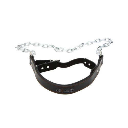 Head Harness