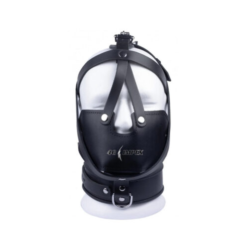 Head Harness