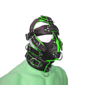 Head Harness