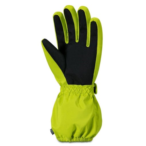 Winter Glove 6