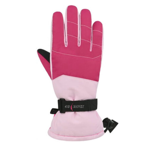 Winter Glove