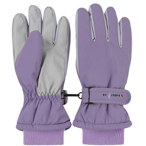Winter Glove