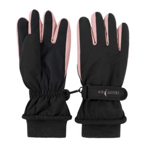 Winter Glove