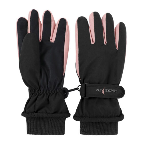 Winter Glove