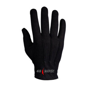 Winter Glove