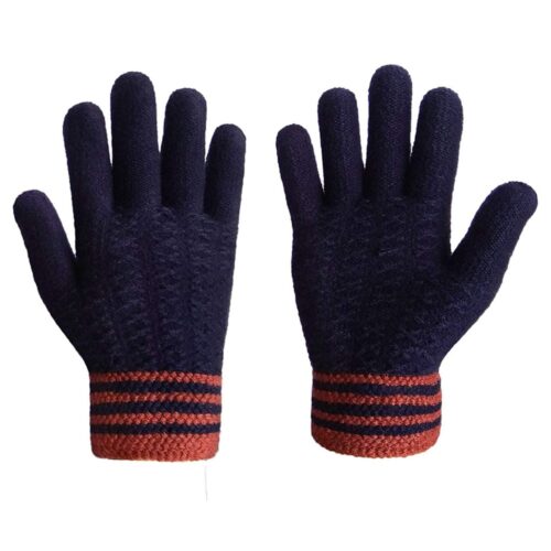 Winter gloves – gi – 411
