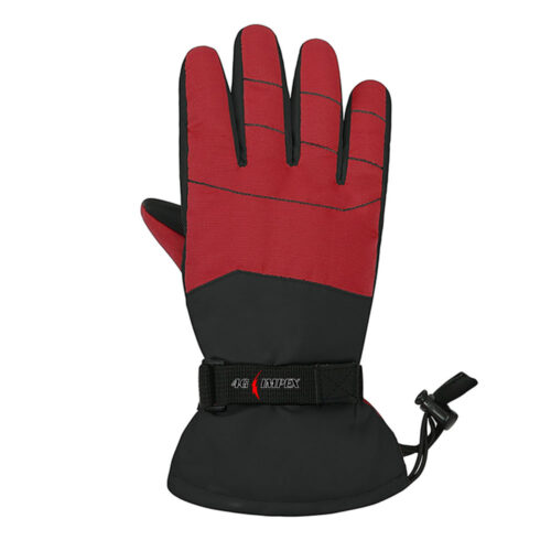 Winter Glove