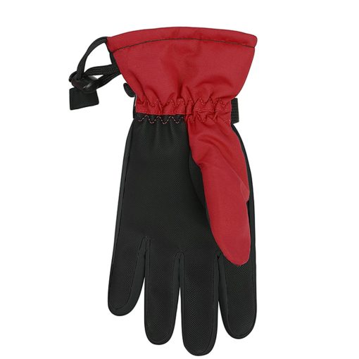 Winter Glove 6
