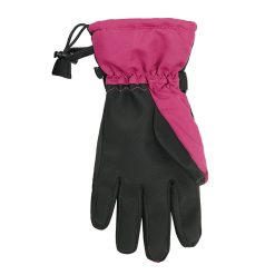 Winter Glove 7