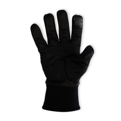 Winter Glove 6