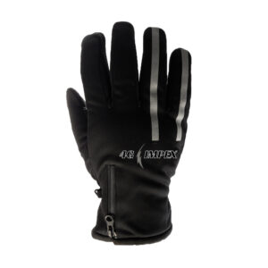 Winter Glove