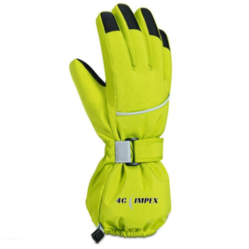 Winter Glove